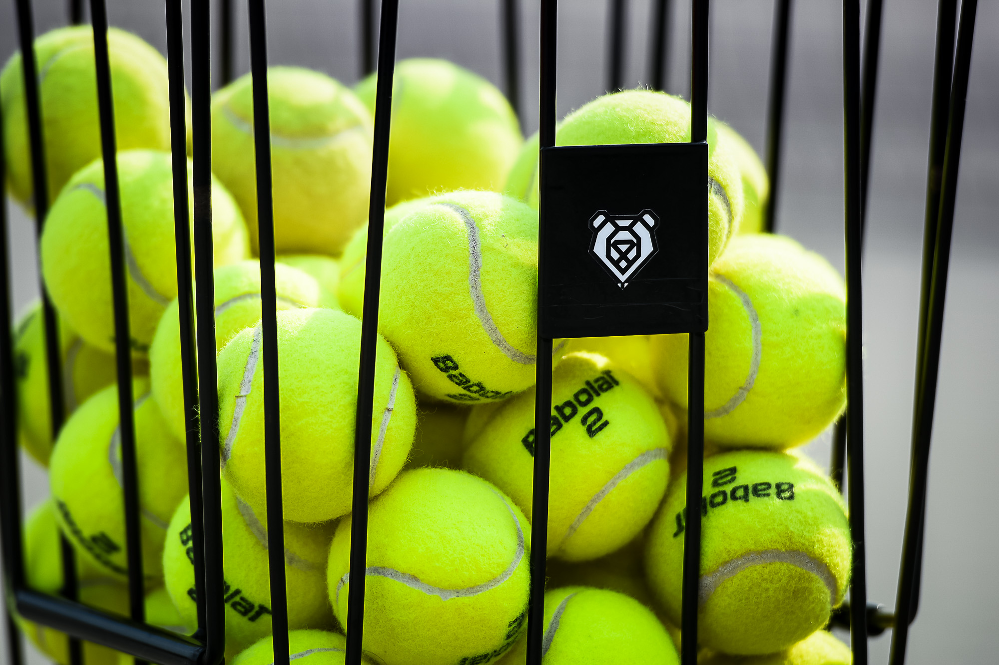 tennis ball Babolat